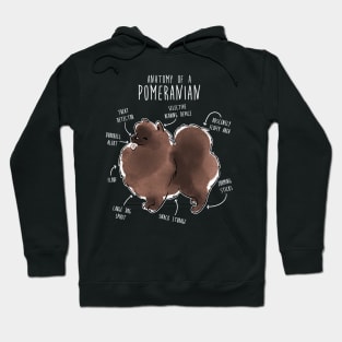 Chocolate Pomeranian Dog Anatomy Hoodie